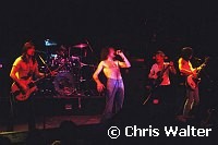 AC/DC 1977 at Whisky a Go Go<br> Chris Walter<br>