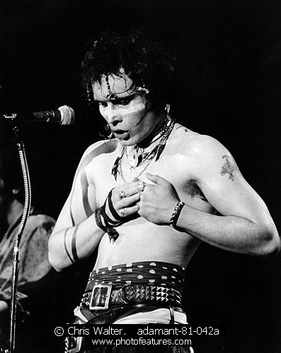 Photo of Adam Ant for media use , reference; adamant-81-042a,www.photofeatures.com