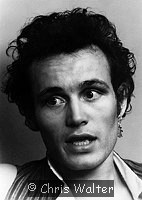 Adam Ant photo © Chris Walter adamant-82-029a Photo of Adam Ant 1982