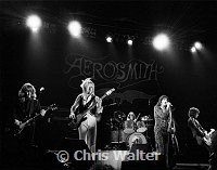 Aerosmith 1976<br> Chris Walter<br>