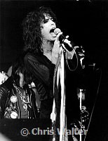 Aerosmith 1977 Steven Tyler<br> Chris Walter<br>