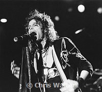 Aerosmith 1984 Steven Tyler<br> Chris Walter<br>