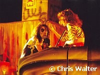 Alice Cooper 1979 Midnight Special<br> Chris Walter<br>