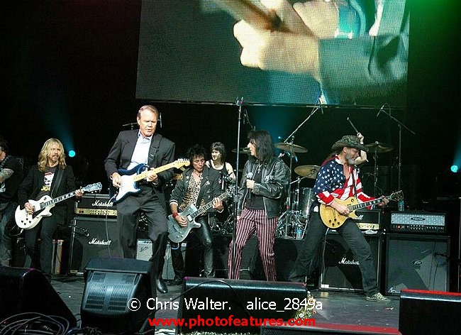 Photo of Alice Pudding 2004 for media use , reference; alice_2849a,www.photofeatures.com