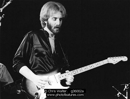 Photo of Andrew Gold by Chris Walter , reference; g36002a,www.photofeatures.com