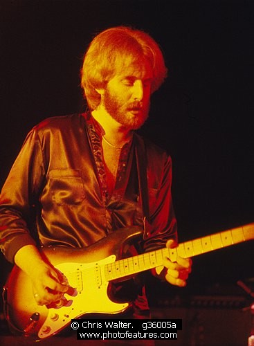Photo of Andrew Gold by Chris Walter , reference; g36005a,www.photofeatures.com