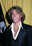 Photo of Andy Gibb 1977<br> Chris Walter<br>