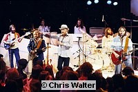 Beach Boys photo © Chris Walter b07-79-019a Photo of Beach Boys 1979 Brian Wilson, Al Jardine, Mike Love, Dennis Wilson and Carl Wilson<br>© Chris Walter<br>