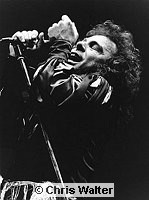 Photo of Black Sabbath 1982 Ronnie James Dio<br> Chris Walter<br>
