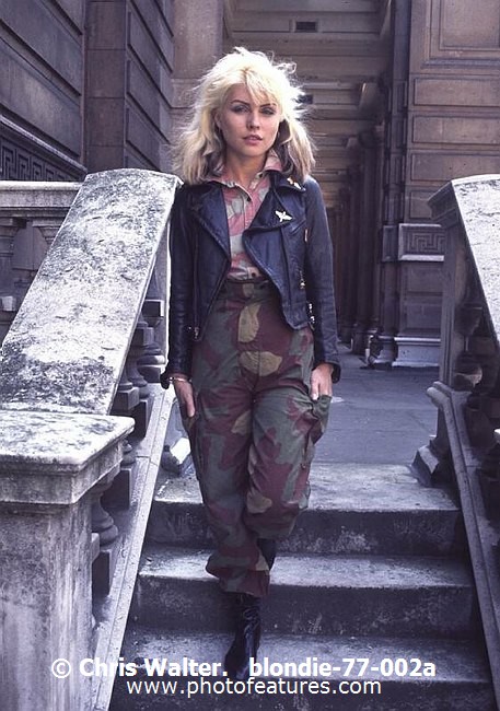 Photo of Blondie for media use , reference; blondie-77-002a,www.photofeatures.com