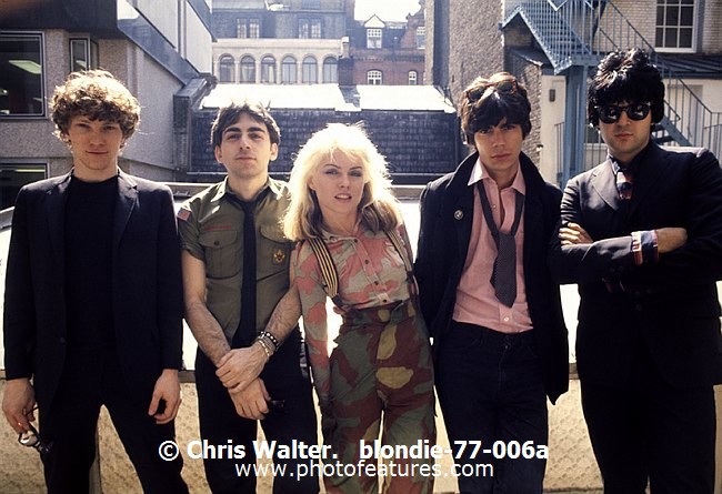 Photo of Blondie for media use , reference; blondie-77-006a,www.photofeatures.com