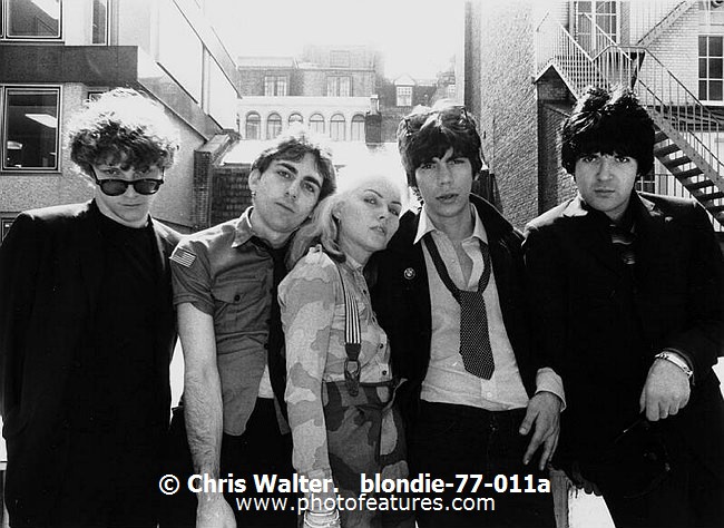 Photo of Blondie for media use , reference; blondie-77-011a,www.photofeatures.com