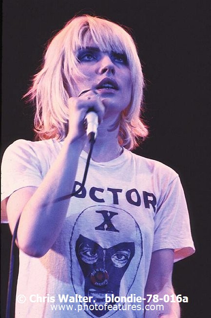 Photo of Blondie for media use , reference; blondie-78-016a,www.photofeatures.com