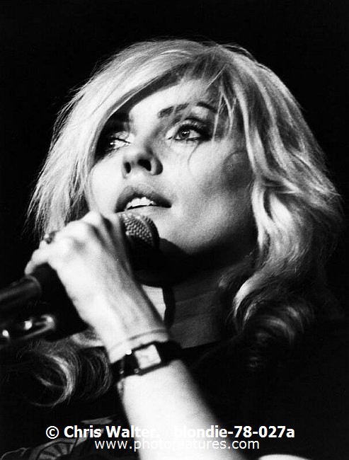 Photo of Blondie for media use , reference; blondie-78-027a,www.photofeatures.com