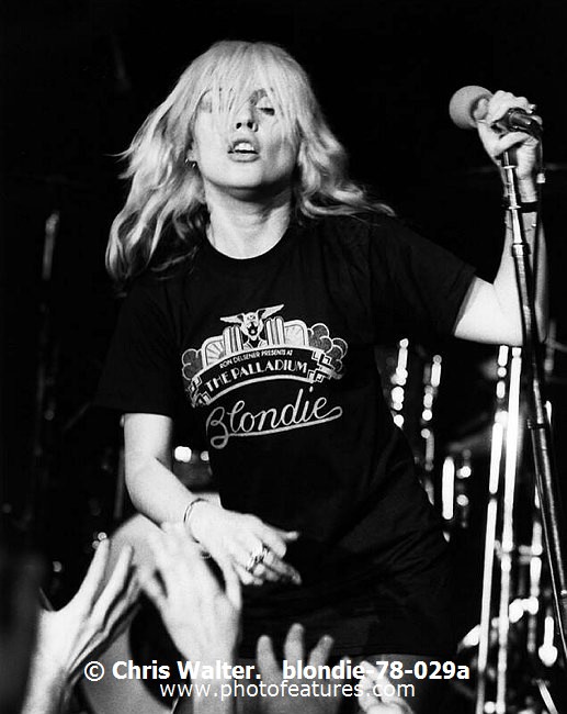 Photo of Blondie for media use , reference; blondie-78-029a,www.photofeatures.com
