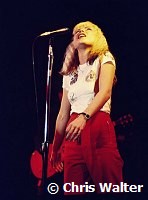 Blondie 1977 Debbie Harry<br> Chris Walter<br>