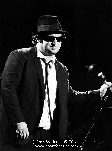 Photo of Blues Brothers by Chris Walter , reference; b51004a,www.photofeatures.com