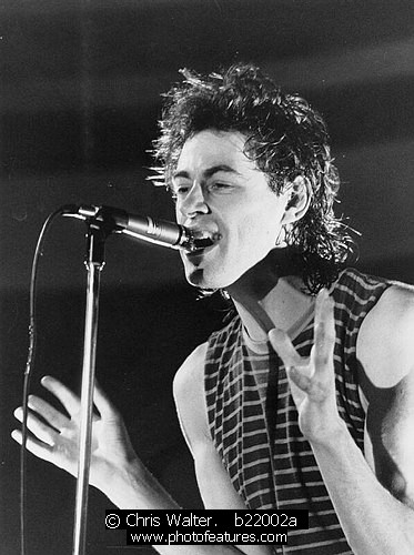 Boomtown Rats b22002a photography by © Chris Walter Photo of Boomtown Rats for media use , reference; b22002a,www.photofeatures.com