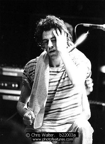 Boomtown Rats b22003a photography by © Chris Walter Photo of Boomtown Rats for media use , reference; b22003a,www.photofeatures.com
