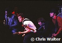 Bruce Springsteen 1980<br> Chris Walter<br>