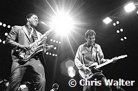 Bruce Springsteen 1981 with Clarence Clemons<br> Chris Walter<br>