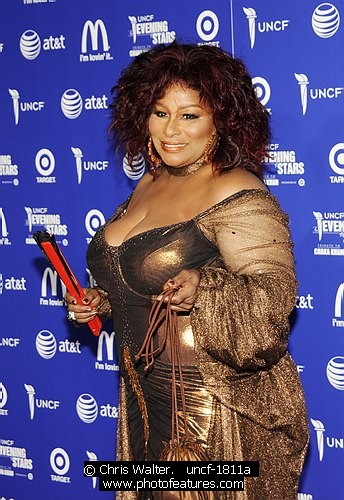 Photo of 2010 UNCF Tribute to Chaka Khan by Chris Walter , reference; uncf-1811a,www.photofeatures.com