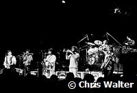 Chicago 1977<br> Chris Walter