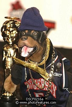 Photo of Triumph the Insult Comic Dog at Comedy Central's First Annual Commie Awards 11-22-2003 in Culver City. , reference; DSCF0216a