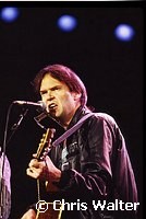 Neil Young 1986<br> Chris Walter<br>