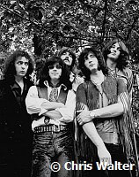Deep Purple 1969 Ritchie Blackmore, Ian Paice, Jon Lord, Roger Glover and Ian Gillan<br> Chris Walter<br>