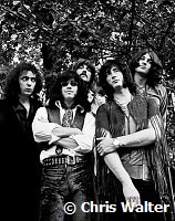 Deep Purple 1970<br> Chris Walter<br>