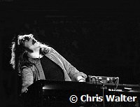 Deep Purple photo © Chris Walter deep-purple-73a-022a Photo of Deep Purple 1973 Jon Lord<br>© Chris Walter<br>