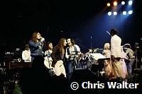 Butterfly Ball 1975 at Royal Albert Hall David Coverdale Roger Glover Glenn Hughes and John Lawton<br> Chris Walter