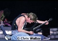 Photo of Def Leppard 1987 Phil Collen<br> Chris Walter<br>