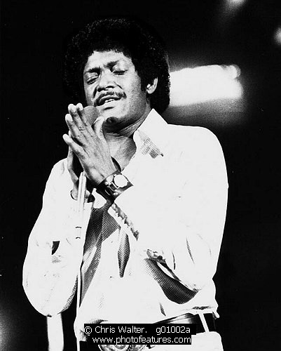Photo of Dobie Gray Photo of Dobie Gray by Chris Walter , reference; g01002a,www.photofeatures.com