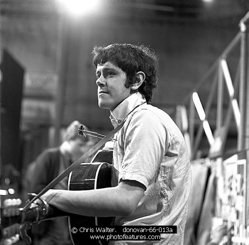 Photo of Donovan by Chris Walter , reference; donovan-66-013a,www.photofeatures.com