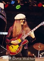 Photo of Doobie Brothers 1977 Pat Simmons at Reading Festival