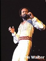EARTH WIND & FIRE  Maurice White 1981<br> Chris Walter<br>