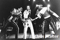 EARTH WIND & FIRE 1981<br> Chris Walter<br>