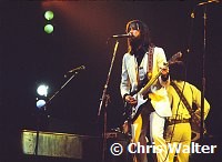 Eric Clapton 1973 at the Rainbow Concert<br> Chris Walter<br>