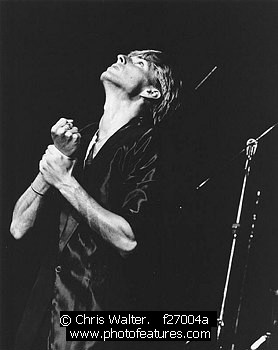 Photo of Fixx by Chris Walter , reference; f27004a,www.photofeatures.com