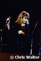 Stevie Nicks 1983 at US Festival<br> Chris Walter