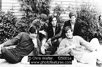 Photo of Fleshtones by Chris Walter , reference; f25001a,www.photofeatures.com