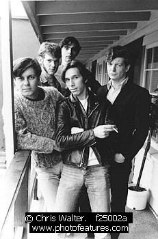 Photo of Fleshtones by Chris Walter , reference; f25002a,www.photofeatures.com