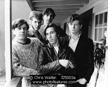 Photo of Fleshtones by Chris Walter , reference; f25003a,www.photofeatures.com