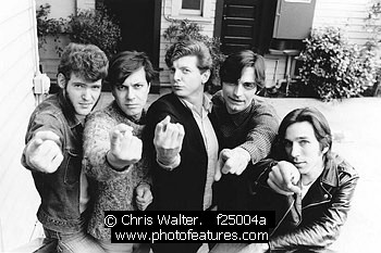 Photo of Fleshtones by Chris Walter , reference; f25004a,www.photofeatures.com