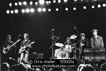 Photo of Fleshtones by Chris Walter , reference; f25005a,www.photofeatures.com