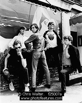 Photo of Fleshtones by Chris Walter , reference; f25007a,www.photofeatures.com