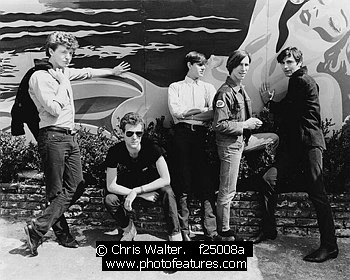 Photo of Fleshtones by Chris Walter , reference; f25008a,www.photofeatures.com