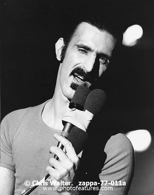Photo of Frank Zappa for media use , reference; zappa-77-011a,www.photofeatures.com